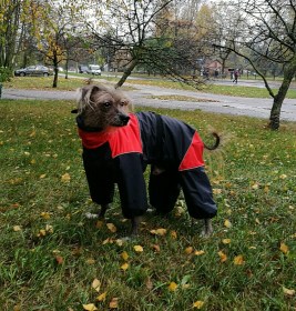 Aramis apģērbs suņiem. Ziemas suņu kombinezons-mētelis ar atstarotājiem, M